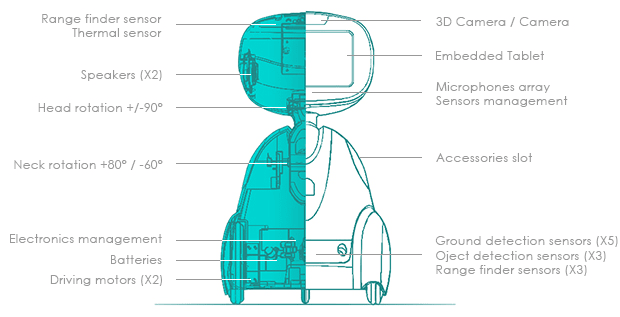 buddy your family s companion robot indiegogo buddy your family s companion robot indiegogo