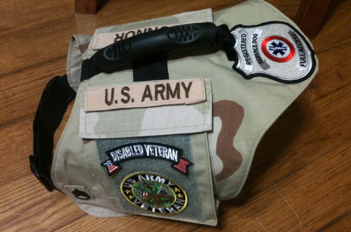 Disabled veteran service dog vest cheap