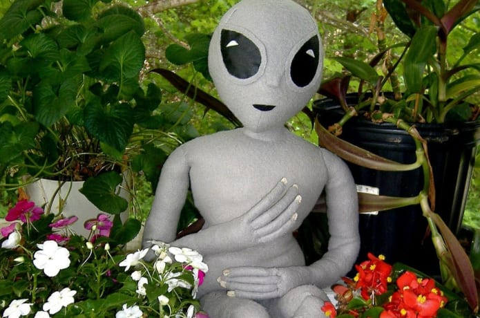 Grey Alien Dolls Indiegogo