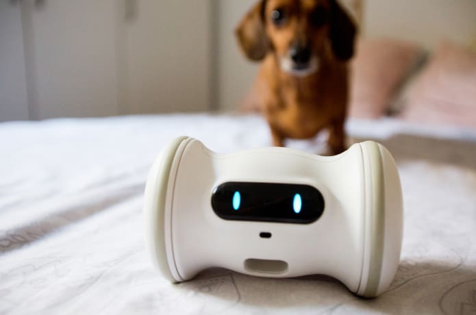 Pet Supplies : VARRAM Pet Fitness Robot: Interactive Treat