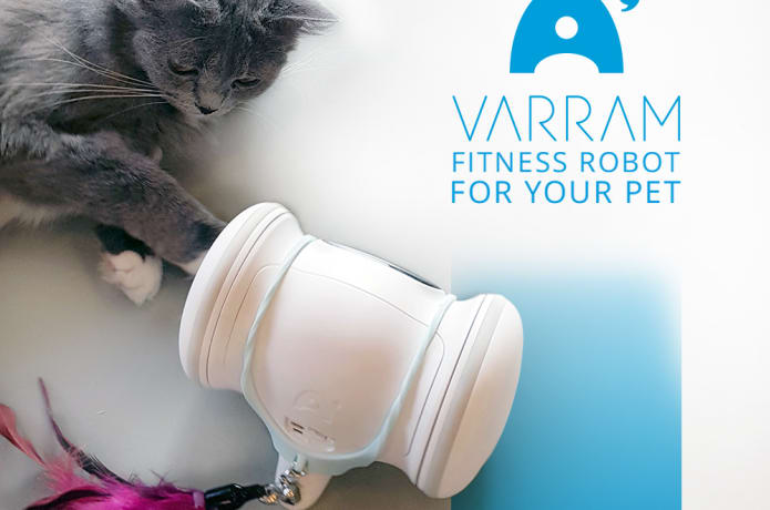 A Smart Robot For Your Pet VARRAM Indiegogo