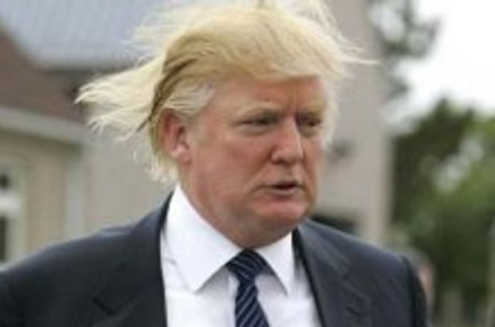 Trump hair piece cheap