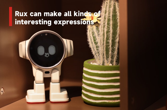 Rux Robot: Fun and Practical Desktop AI Robot | Indiegogo Rux Robot: Fun and Practical Desktop AI Robot | Indiegogo