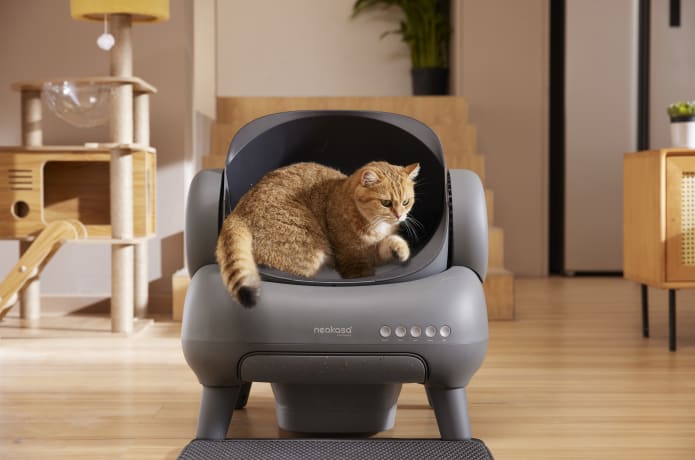 Top open litter box sale