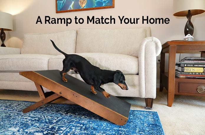 DoggoRamps The Couch Ramp for Dogs Indiegogo
