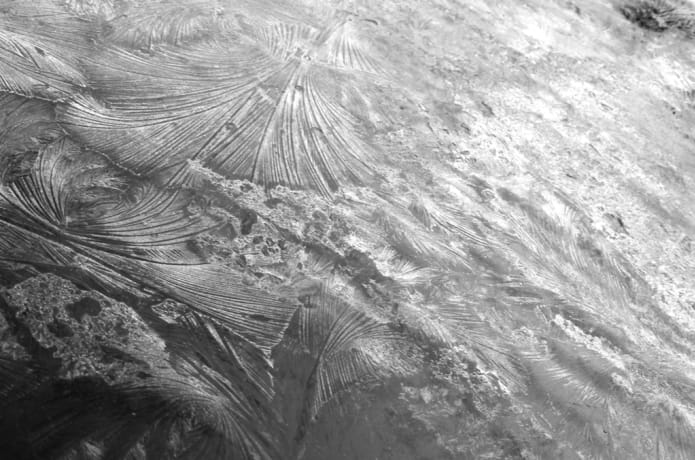 C-type 'Ice' prints, printed on Kodak metallic photographic paper.