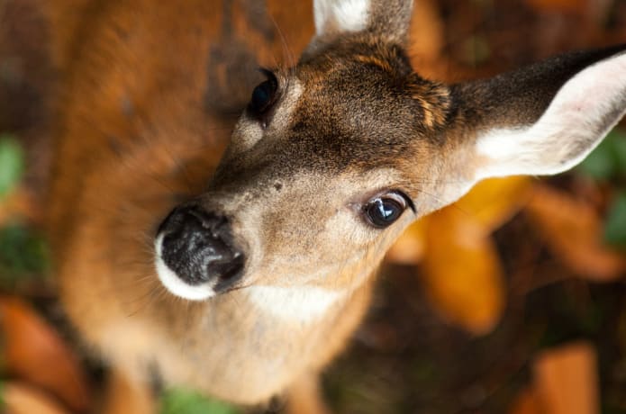 A Pixel-Filled Bicycle Tour | Indiegogo