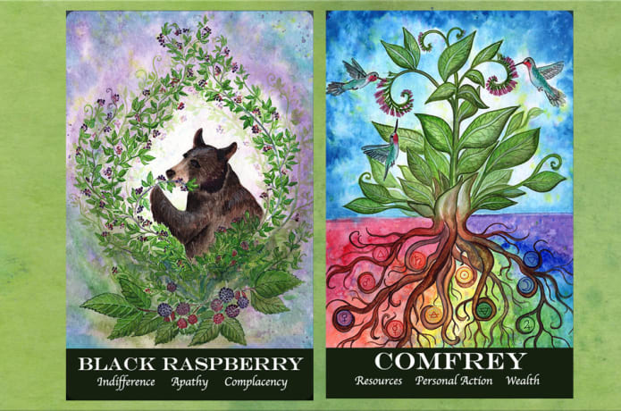 swfaaydhzjcrnvqwfnk6