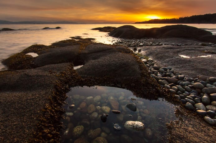 A Pixel-Filled Bicycle Tour | Indiegogo