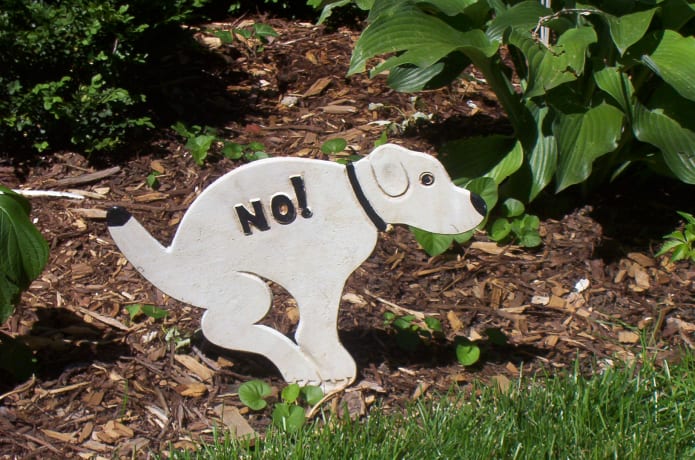 Envirowagg Doggone Good Compost Indiegogo - 