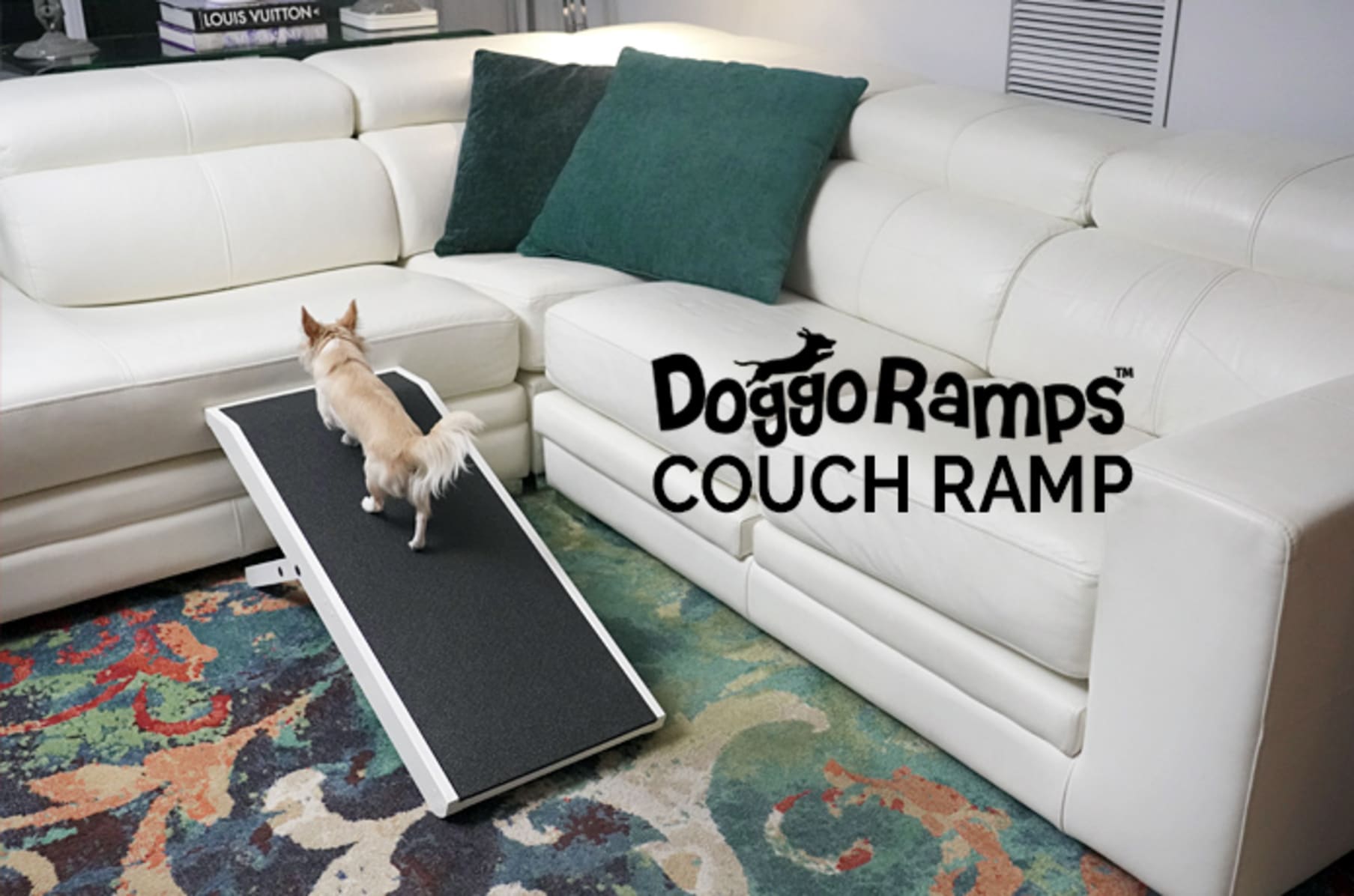 Indiegogo dog cheap ramp