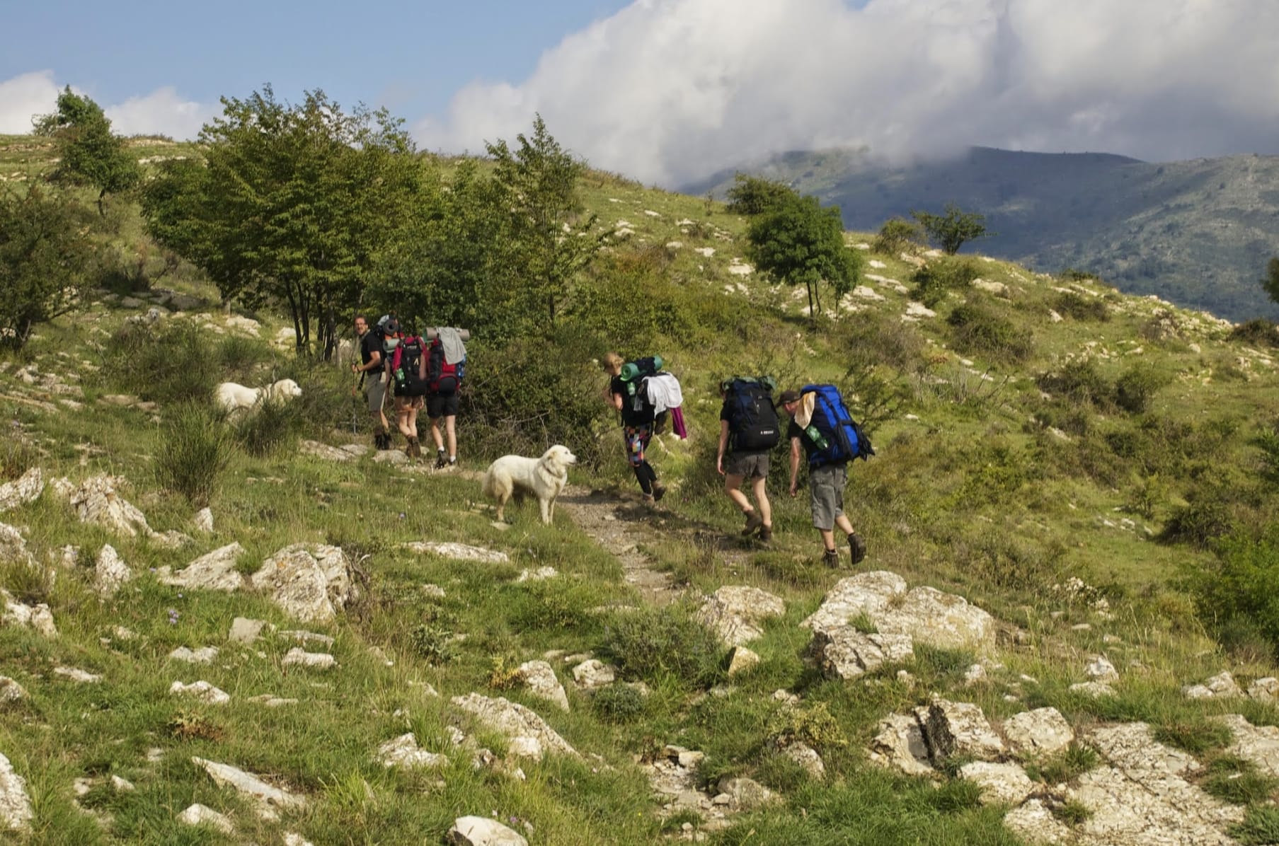 Migrating Art Historians Indiegogo