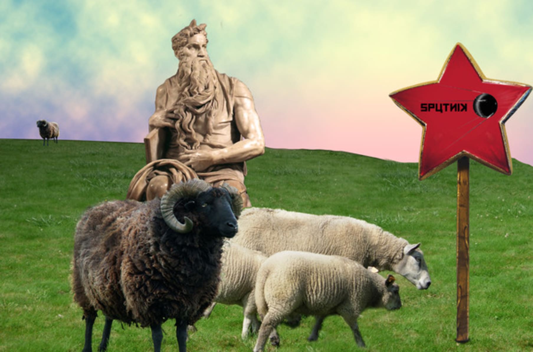 Ovis indiegogo on sale