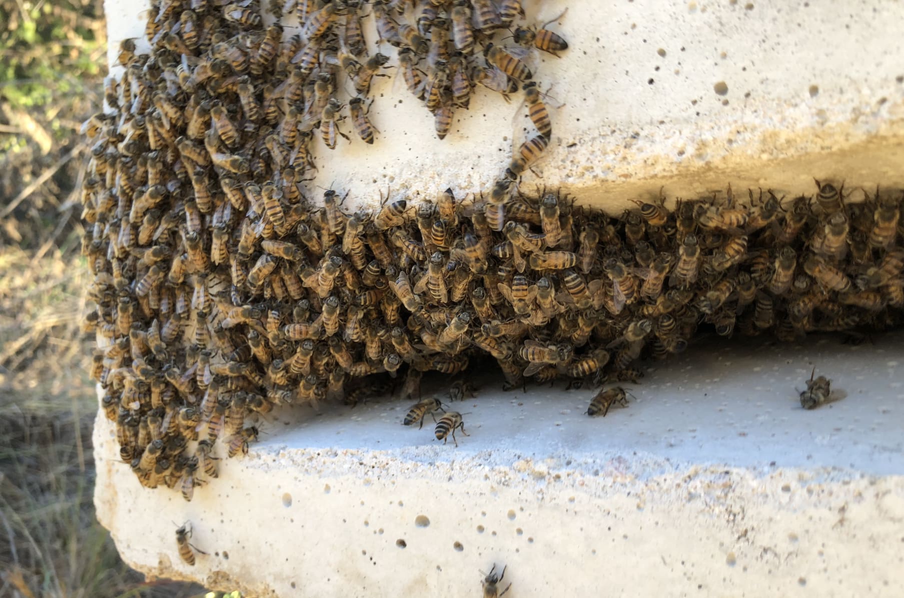 Beegin Moulds To Make Your Own Concrete Beehives Indiegogo