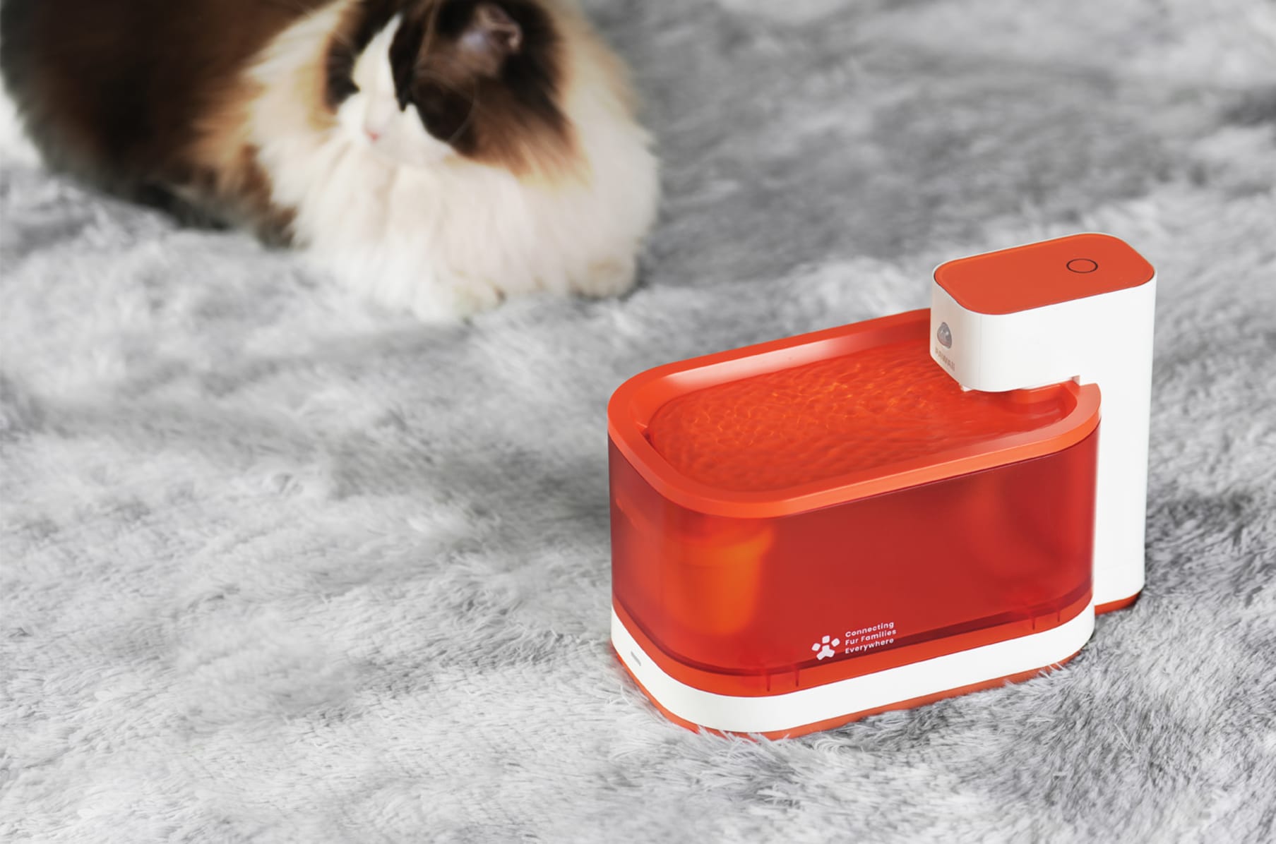 Hommii pet water fountain sales