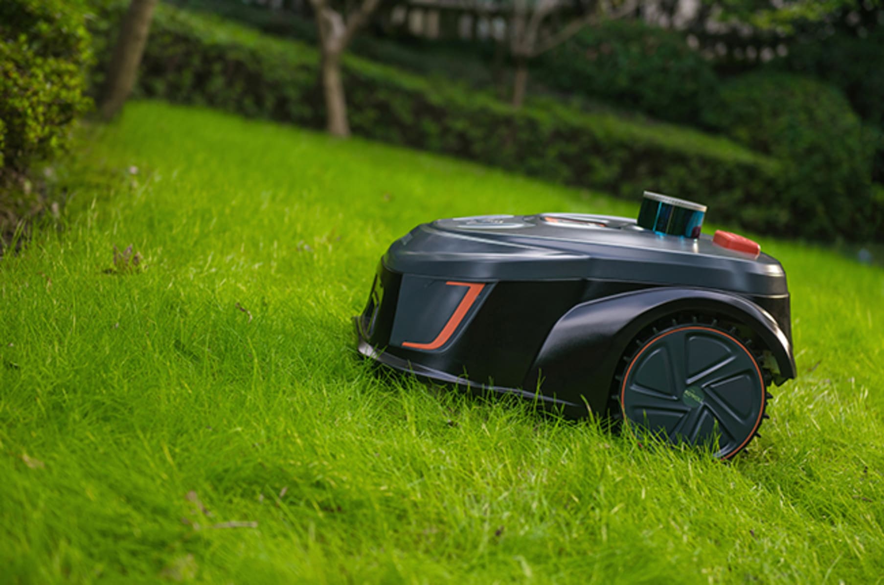 Best robotic lawn mower 2019 clearance