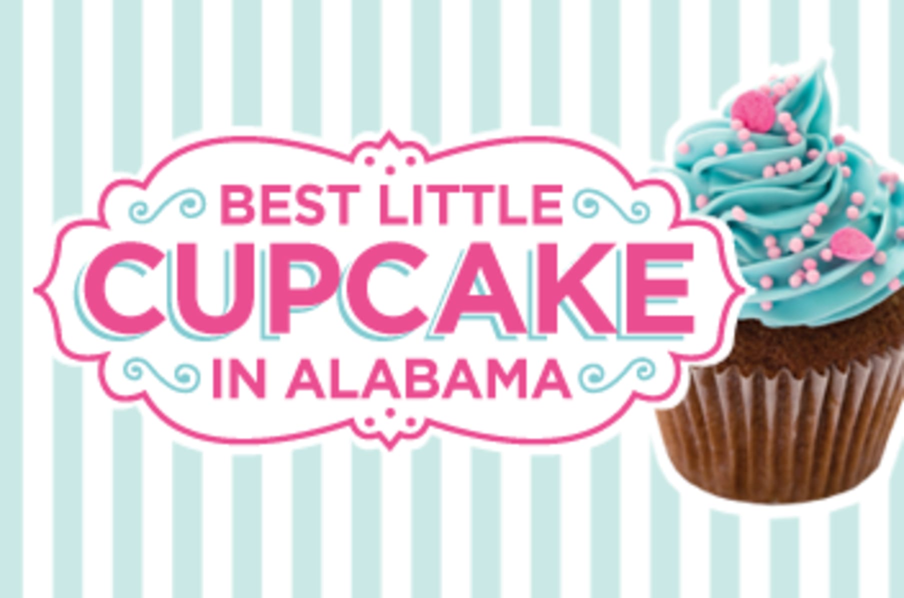 Cupcakes By Tish Nationwide Availability Indiegogo