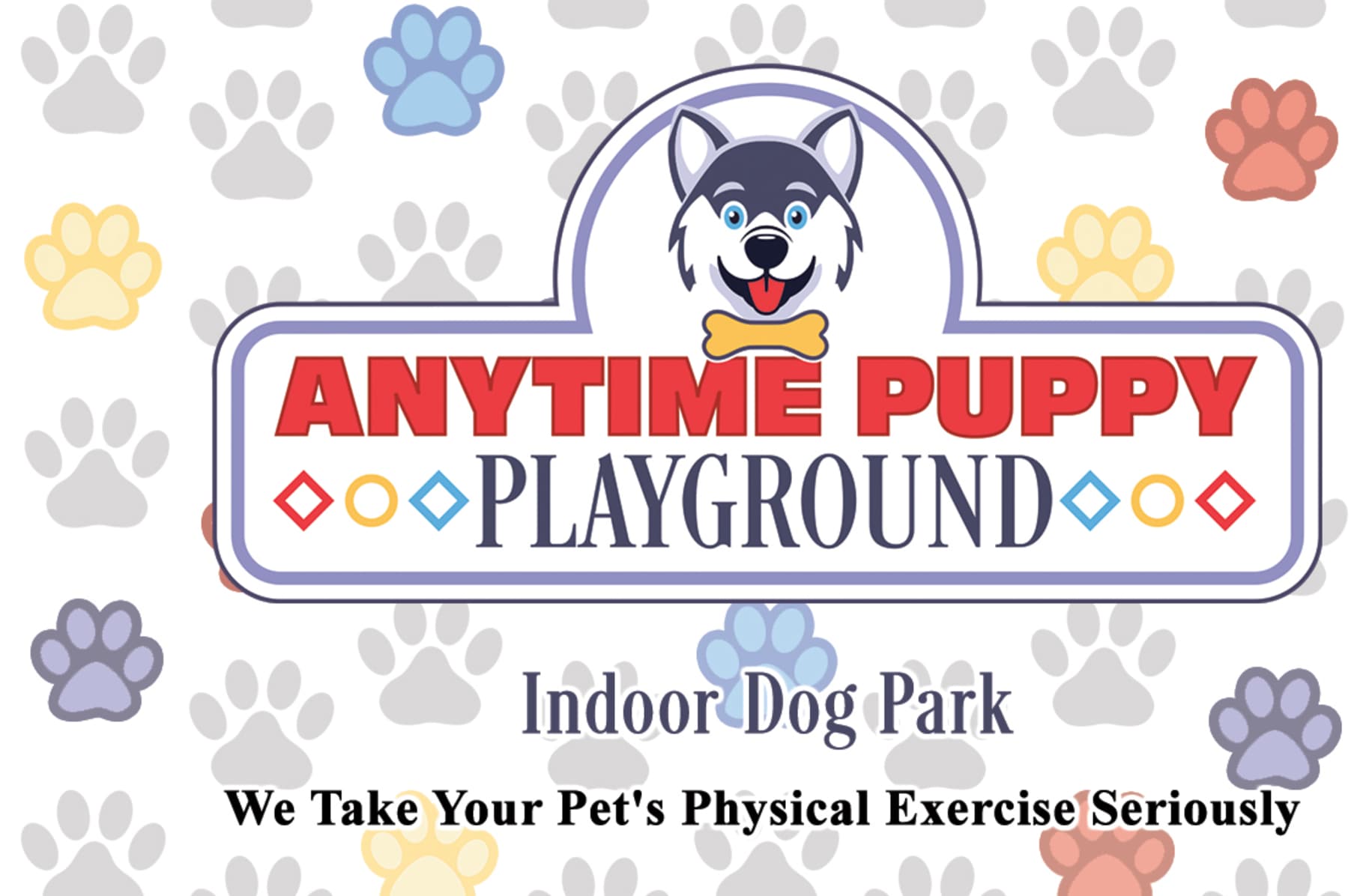 Indoor 2024 puppy park