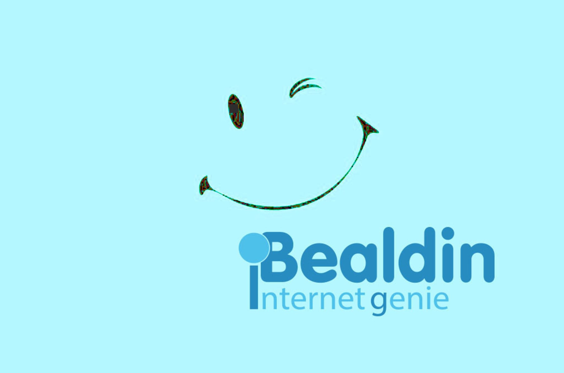 bealdin internet genie indiegogo