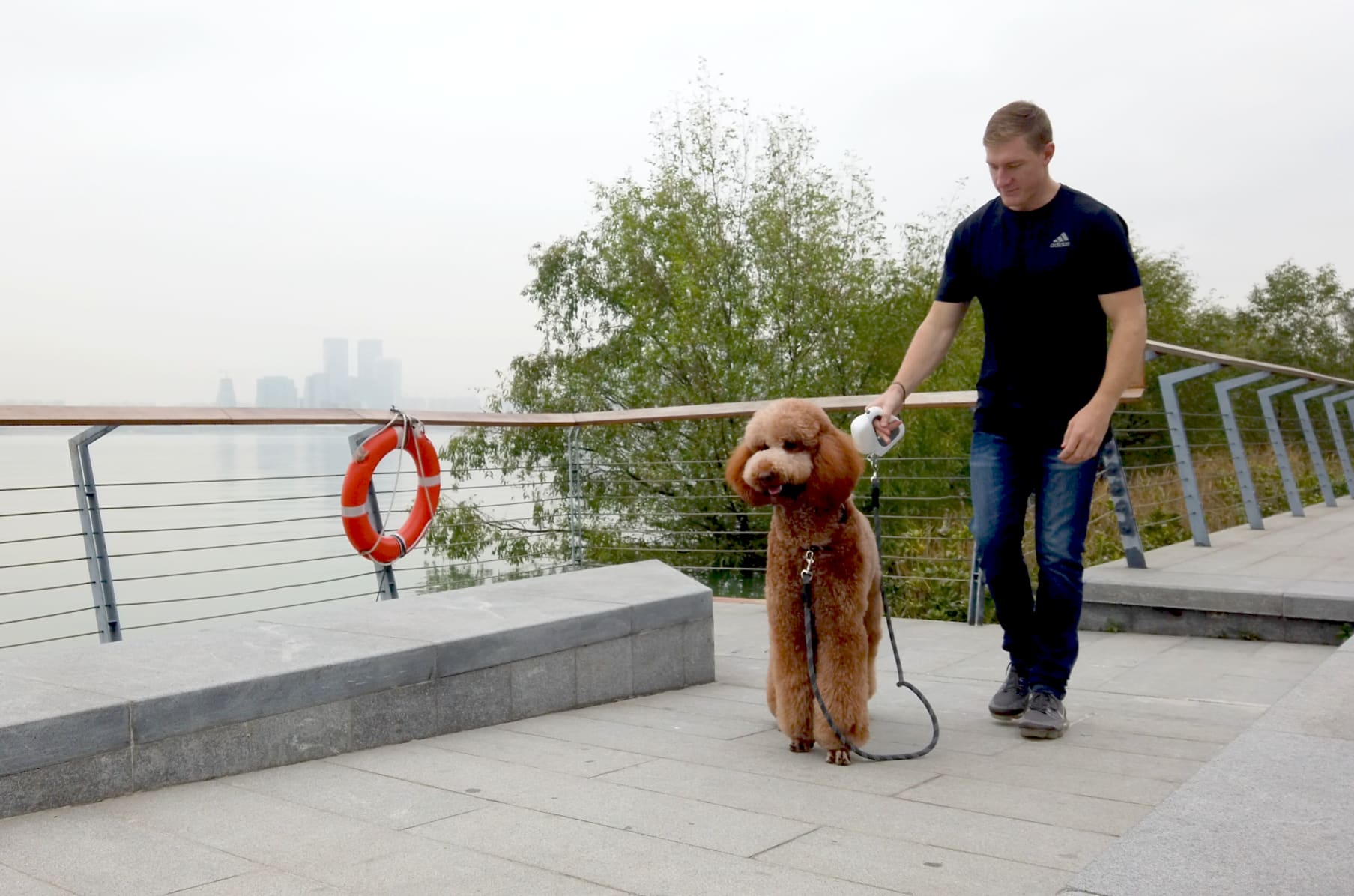 How To Leash Train Your Dog Youtube لم يسبق له مثيل الصور Tier3 Xyz