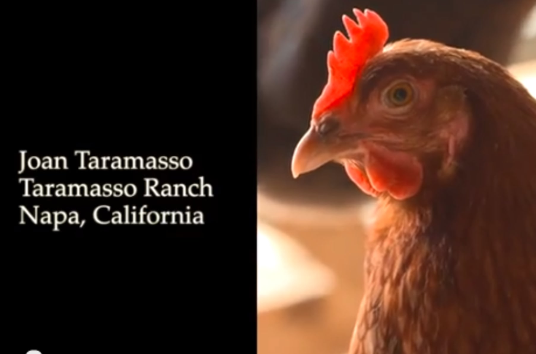 Farmshorts Films Farms And Food Indiegogo