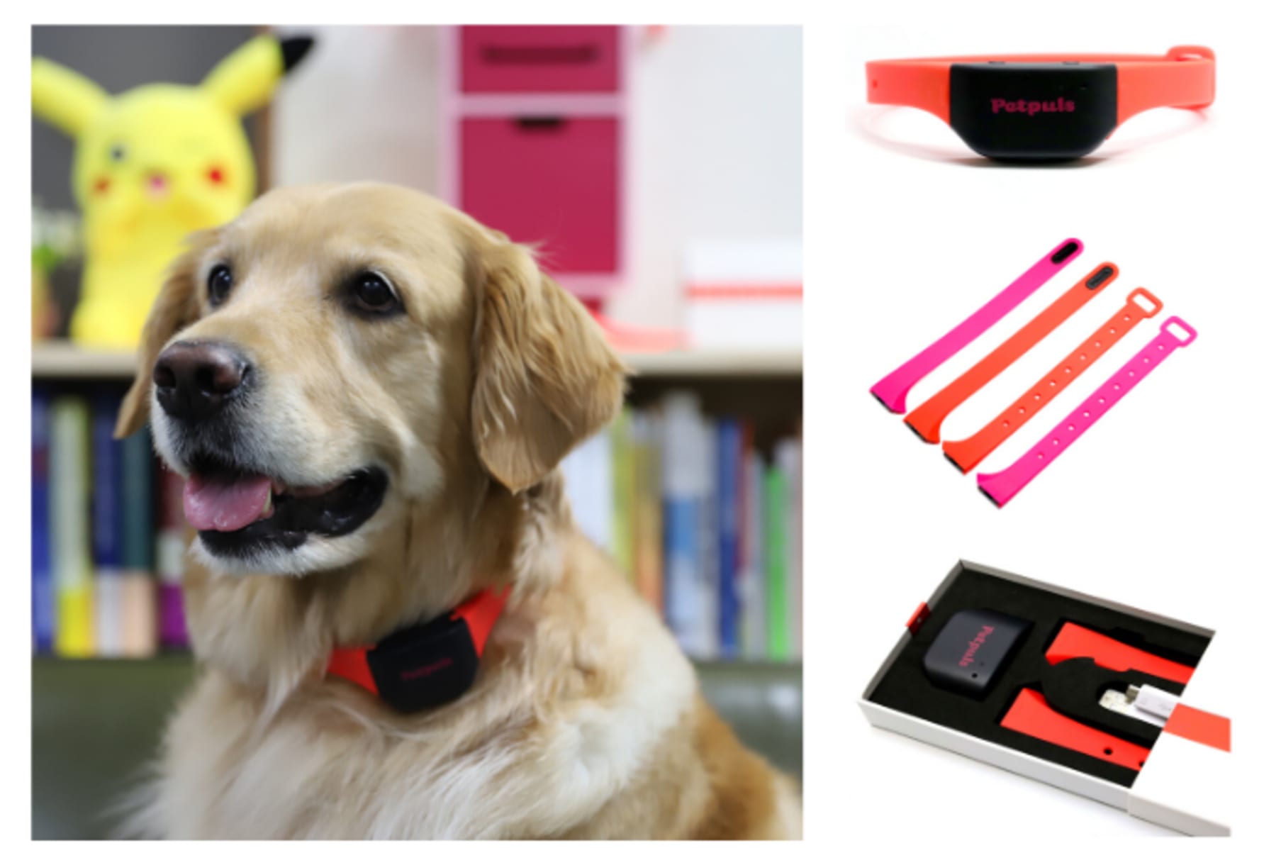 Petpuls Smart Collar Give Your Dog A Voice Indiegogo