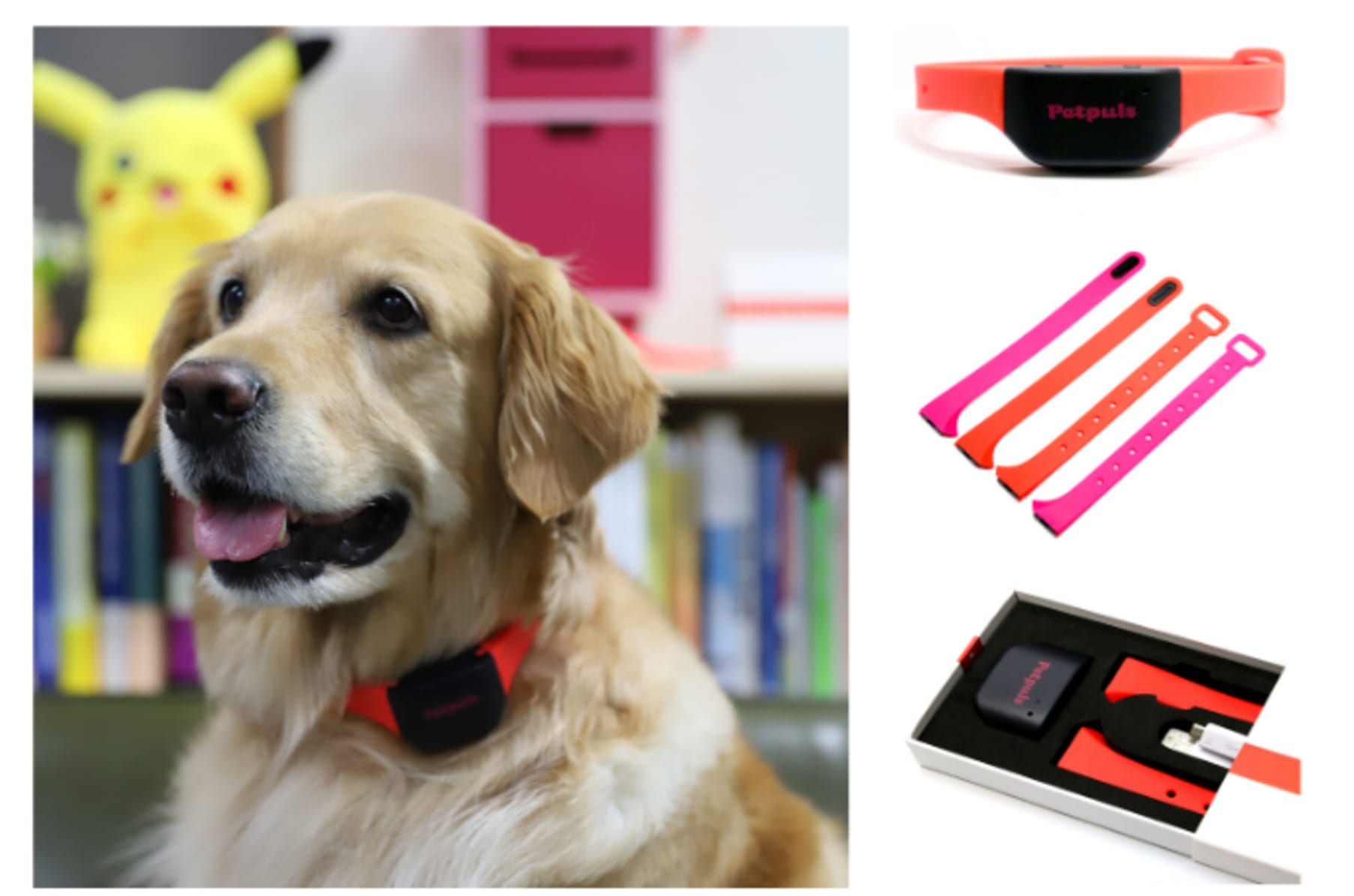 The Smart Dog Collar - An IoT Innovation for Pets