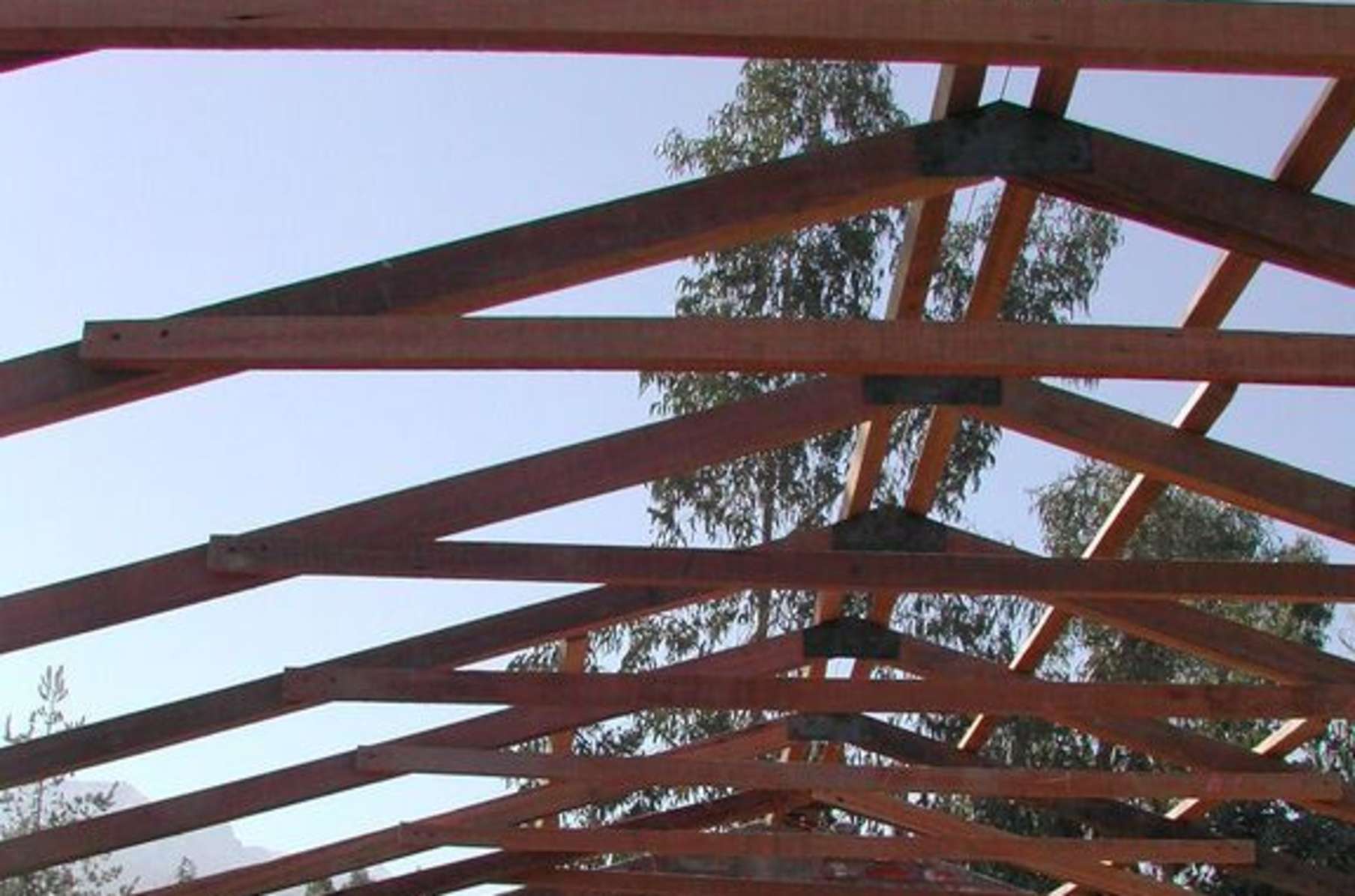 Ngo Taxi South America Mobile Volunteering In South America Indiegogo