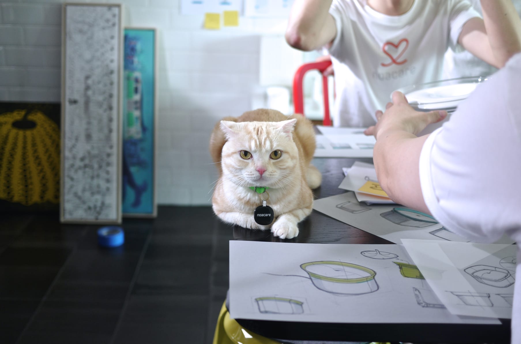Pura A Smart Water Fountain For Cats Indiegogo