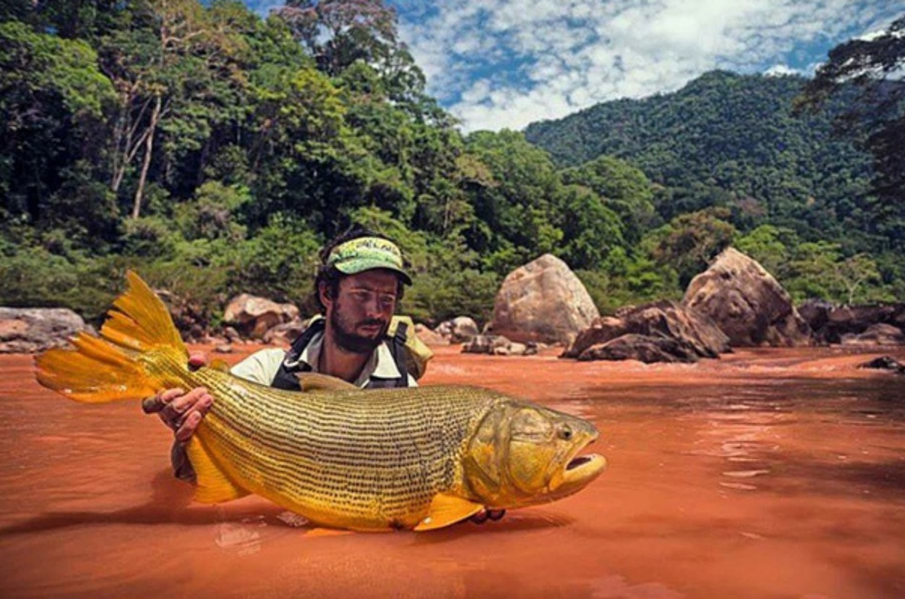 Golden Dorado Conservation Research Indiegogo