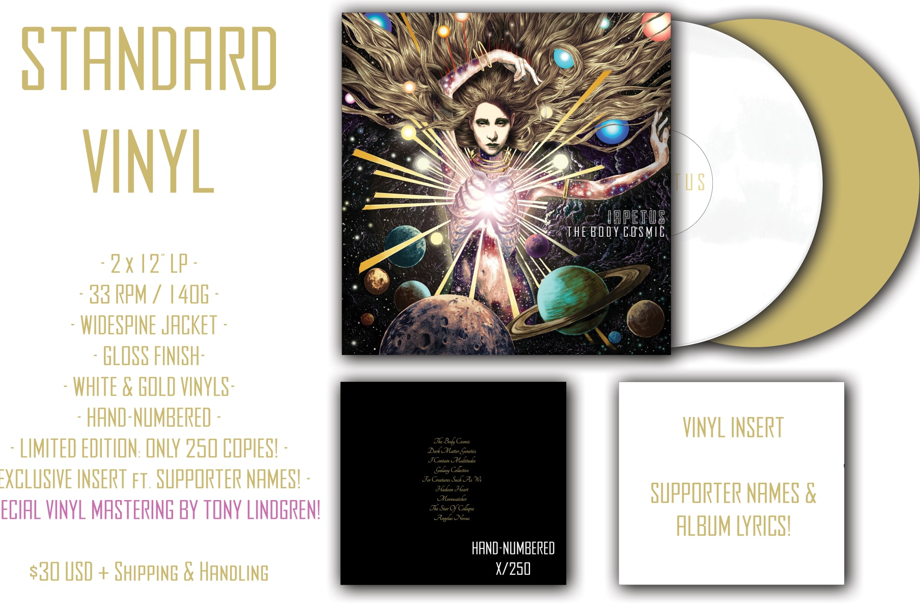 The Body Cosmic Vinyl Crowdfunding Indiegogo