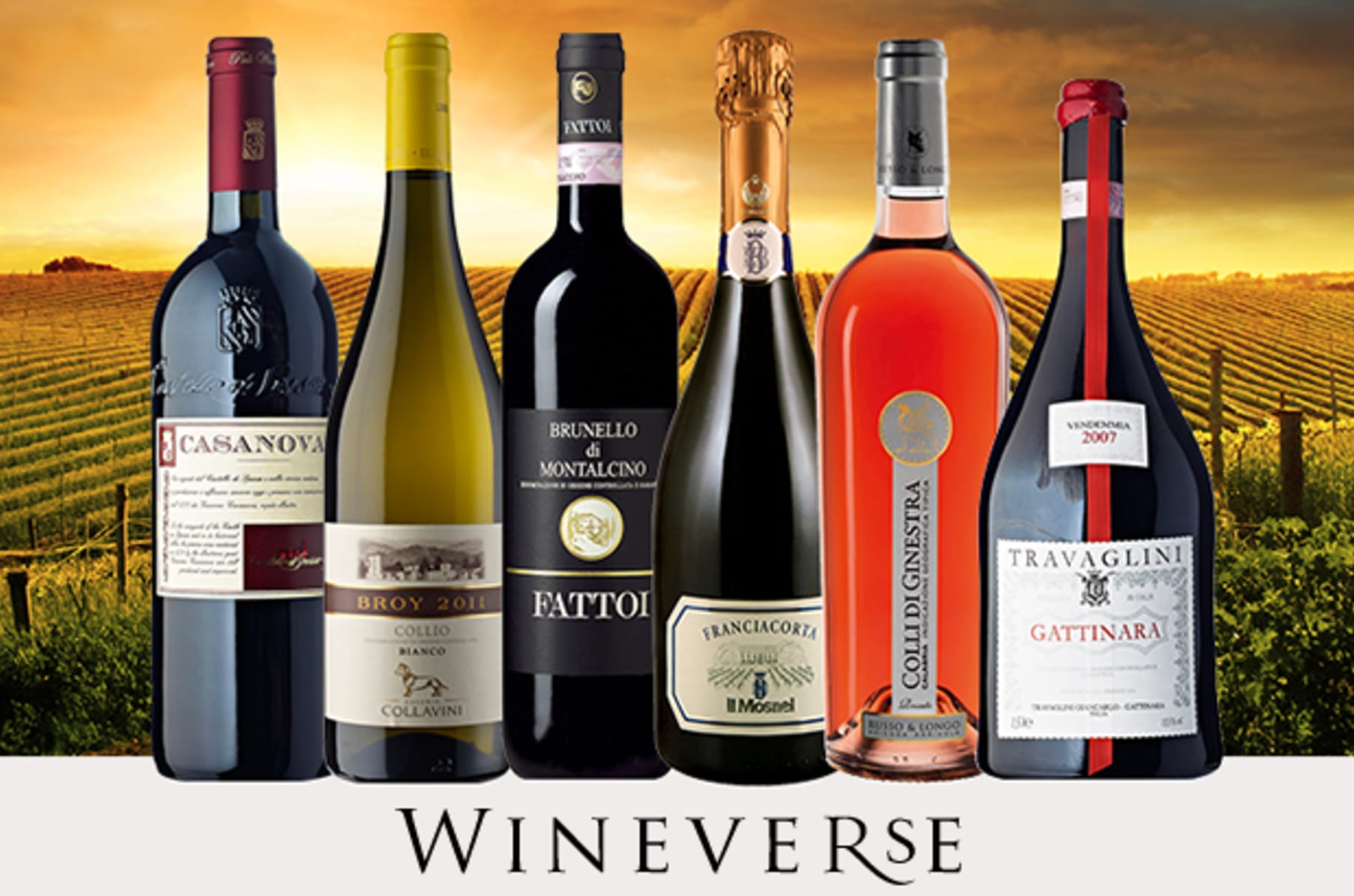 buy italian wine