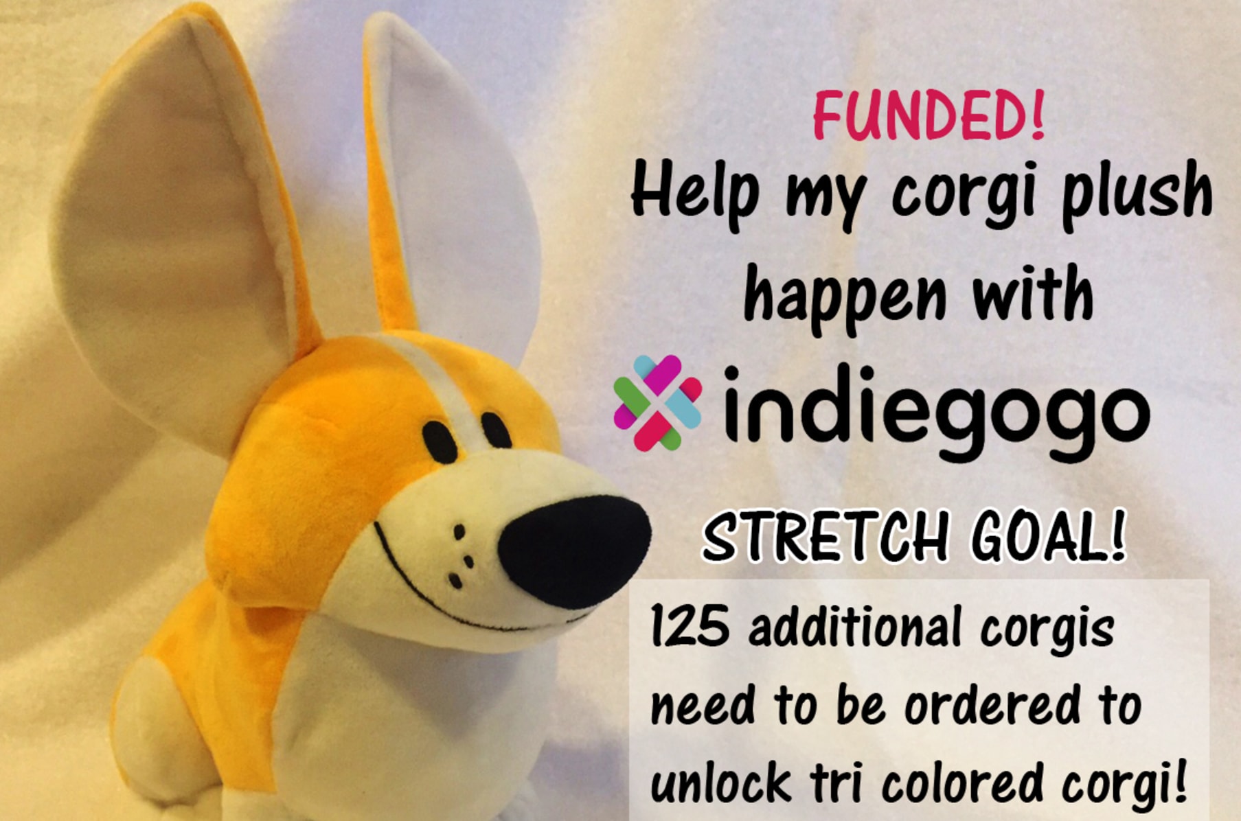 Tri color corgi stuffed animal top
