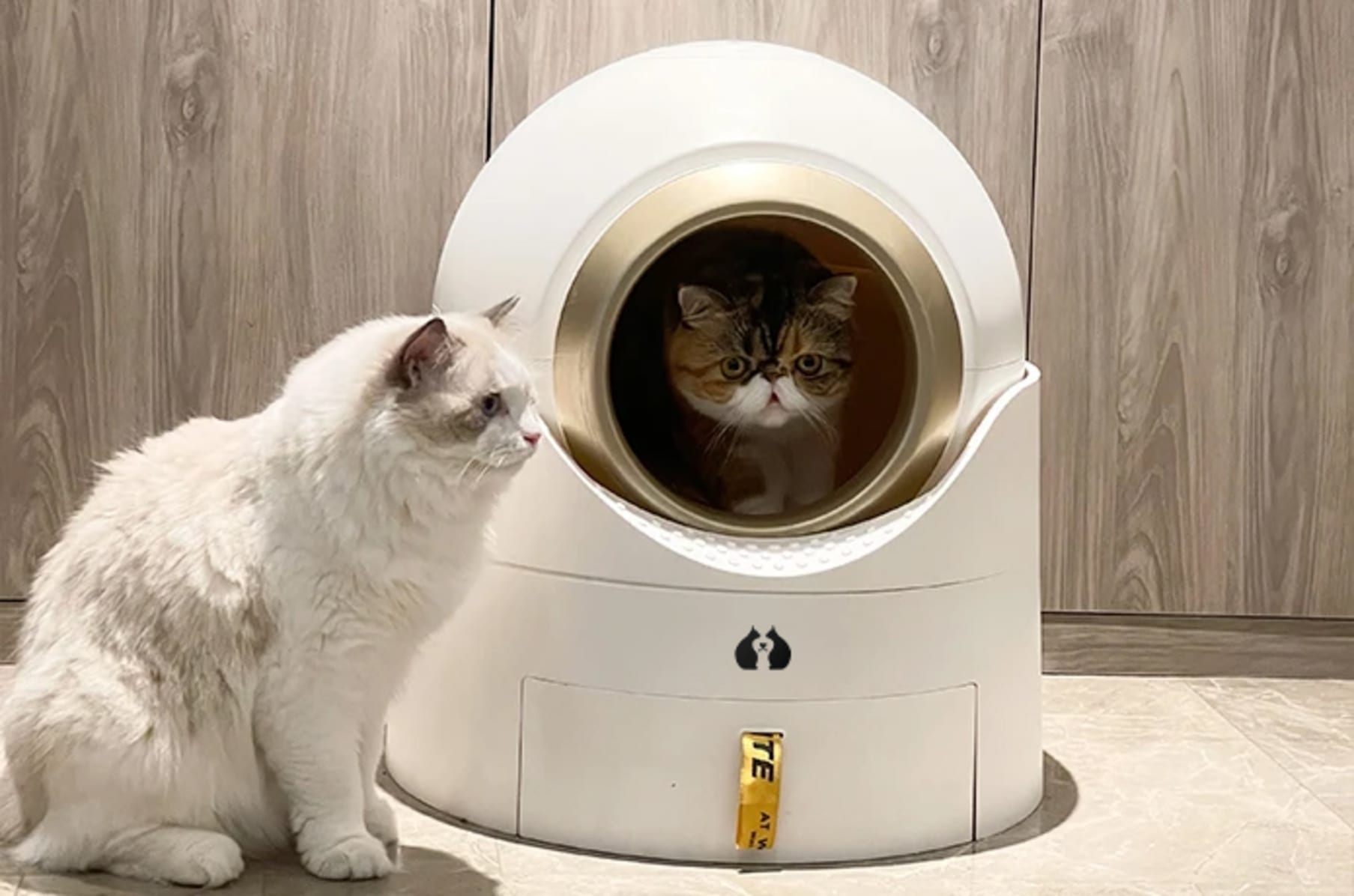 Rotating cat store litter box