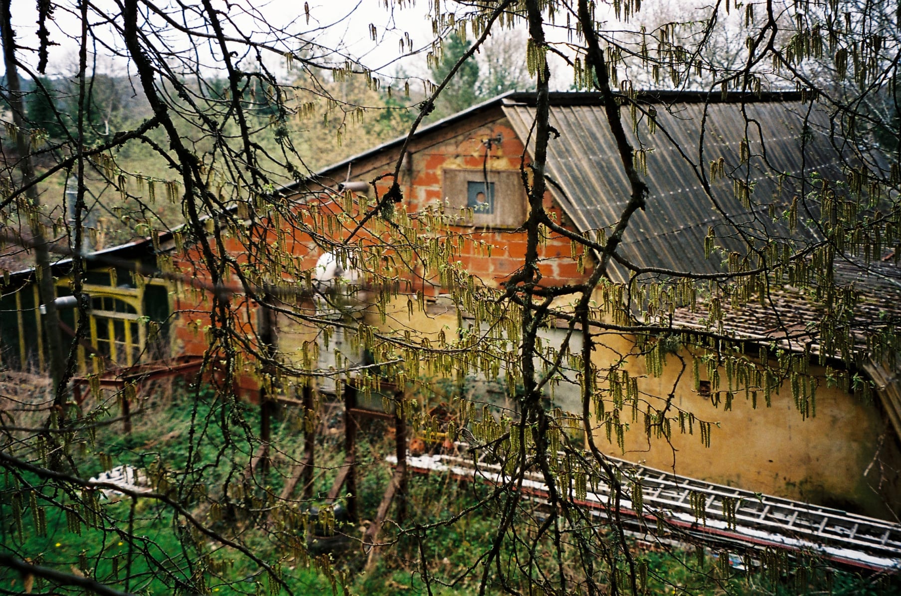 Les Chantiers De Gorodka Krasis Orchestra Indiegogo