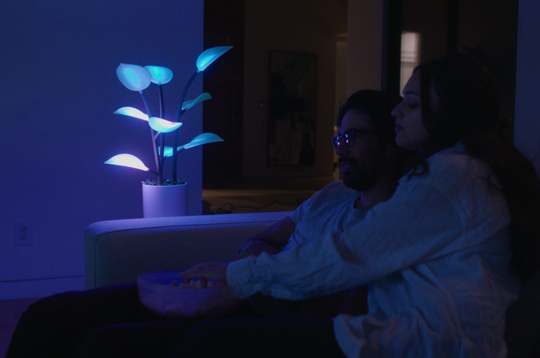 The magical sale led houseplant
