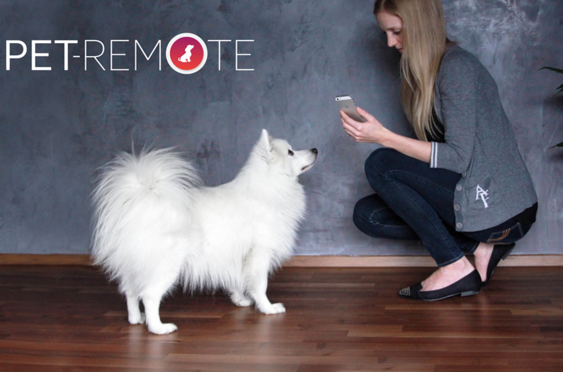 Tractive pet remote hotsell