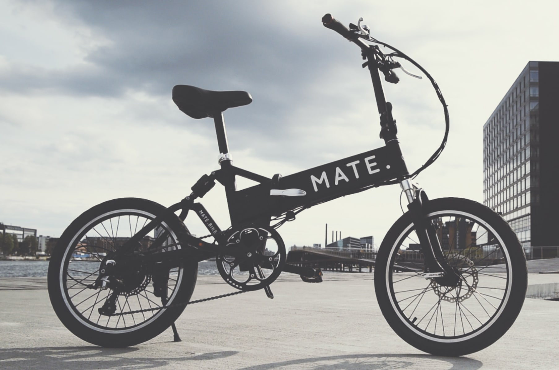 Mate electric bike online