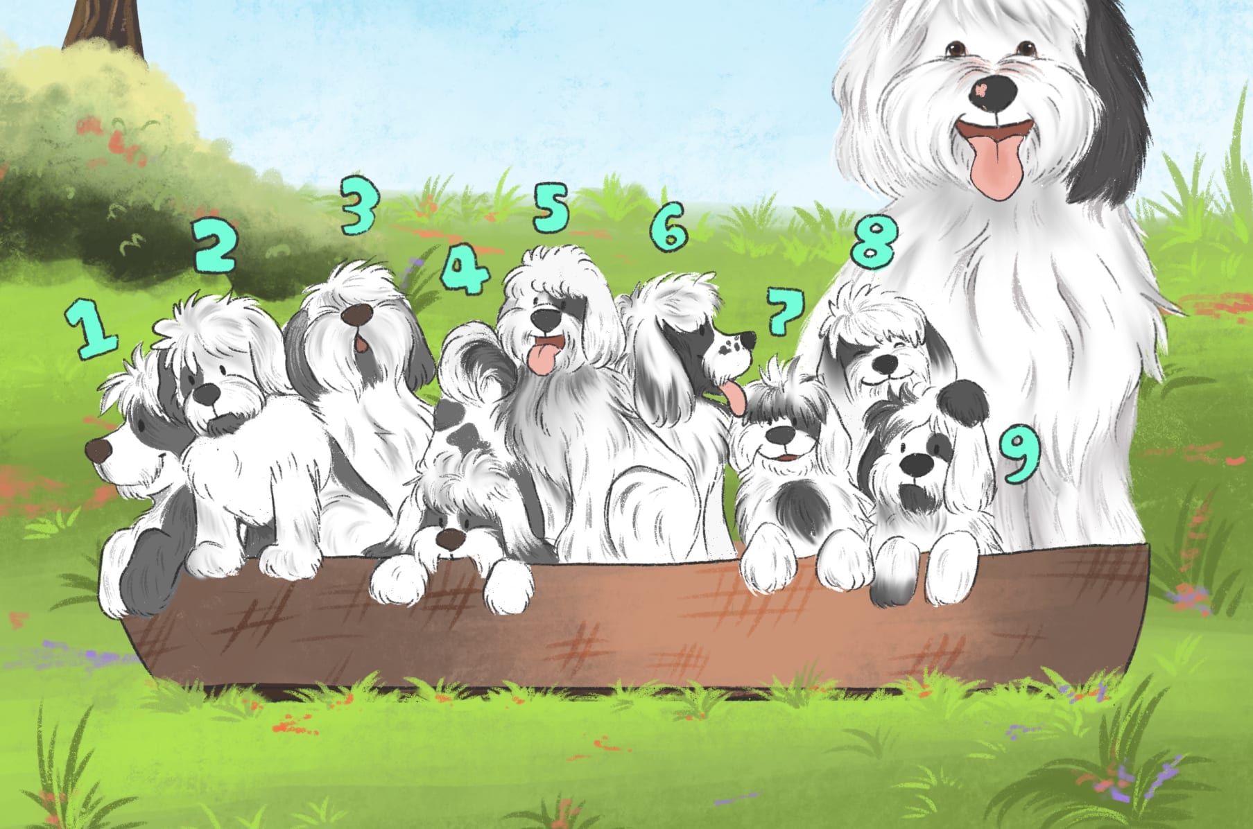 Giant sheepadoodle clearance