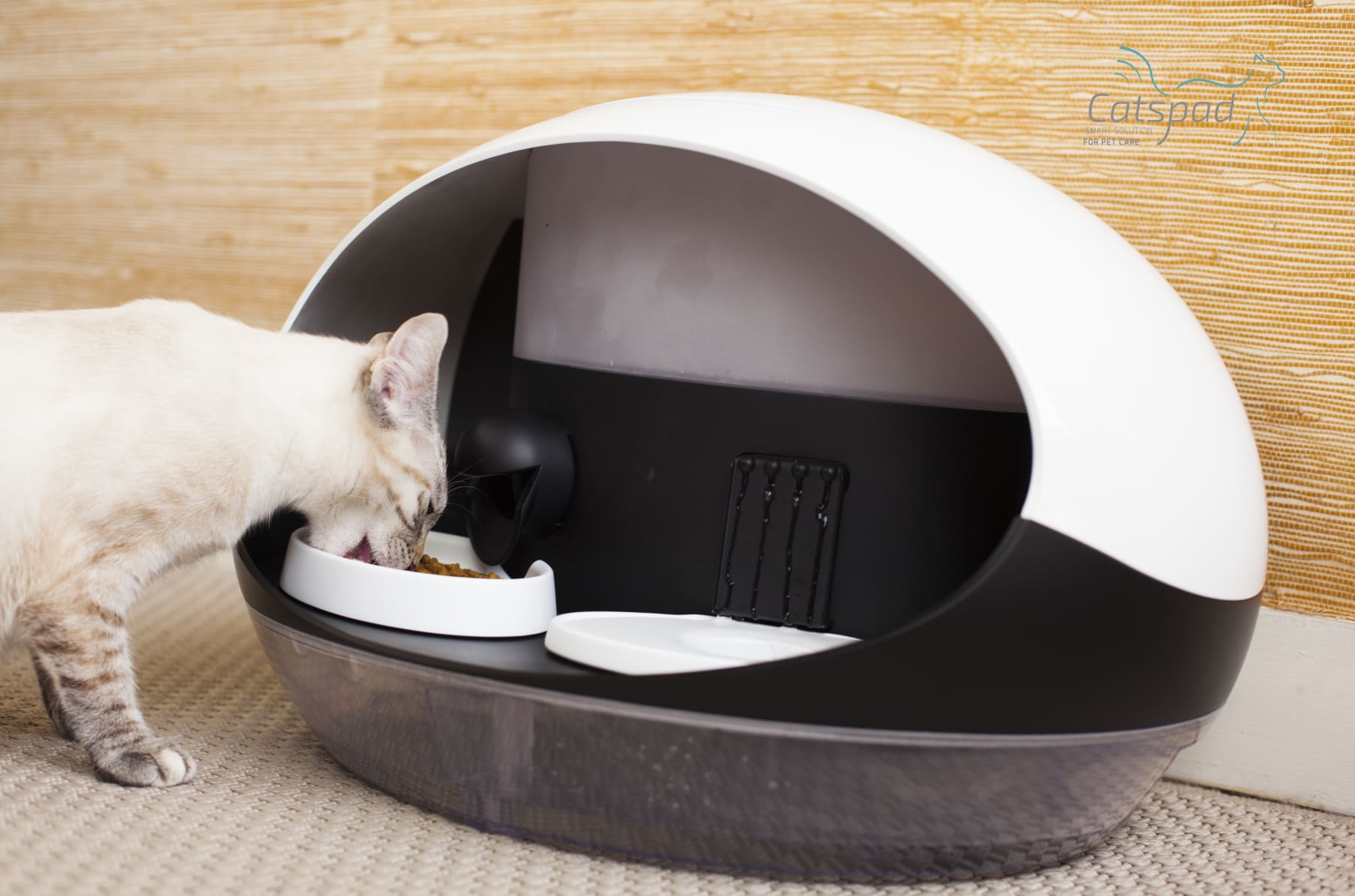 Catspad feeder best sale