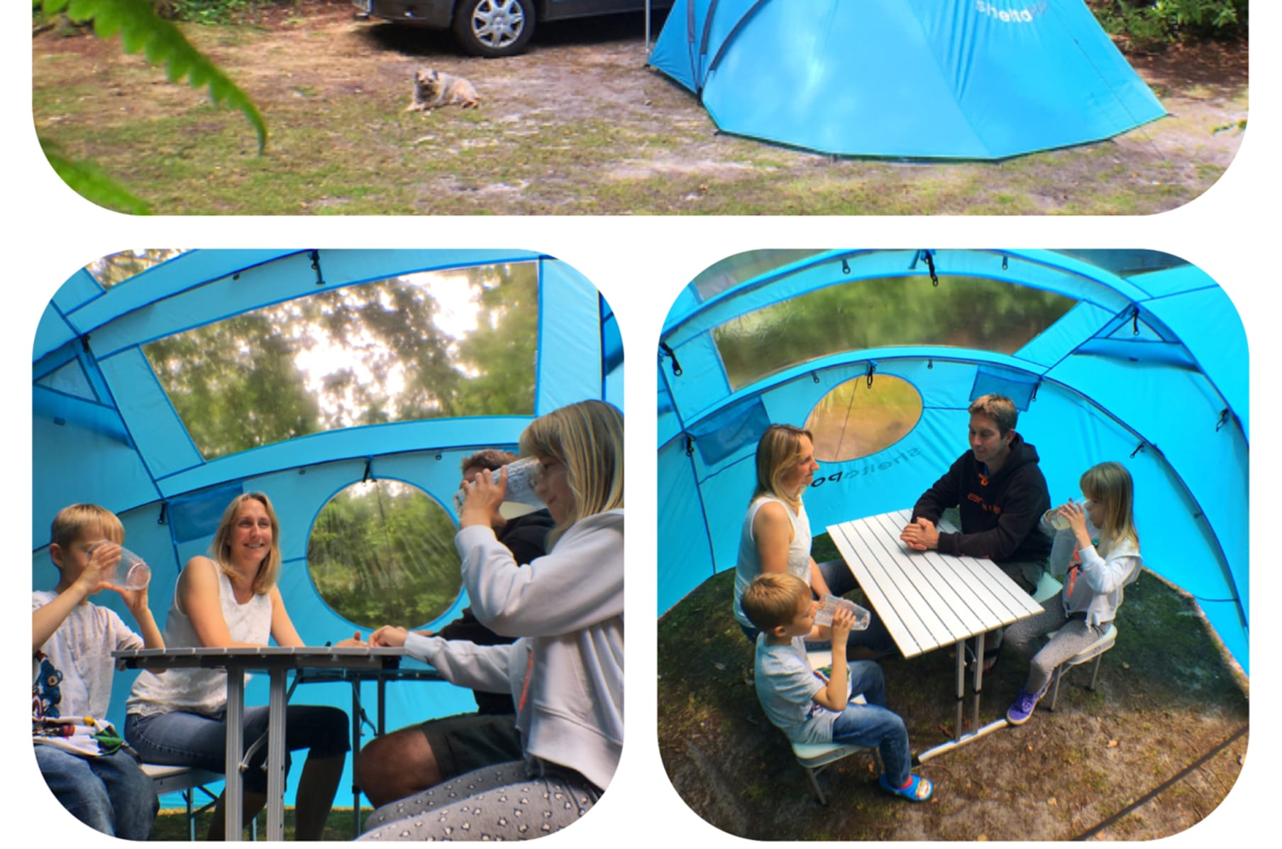 Sheltapod online