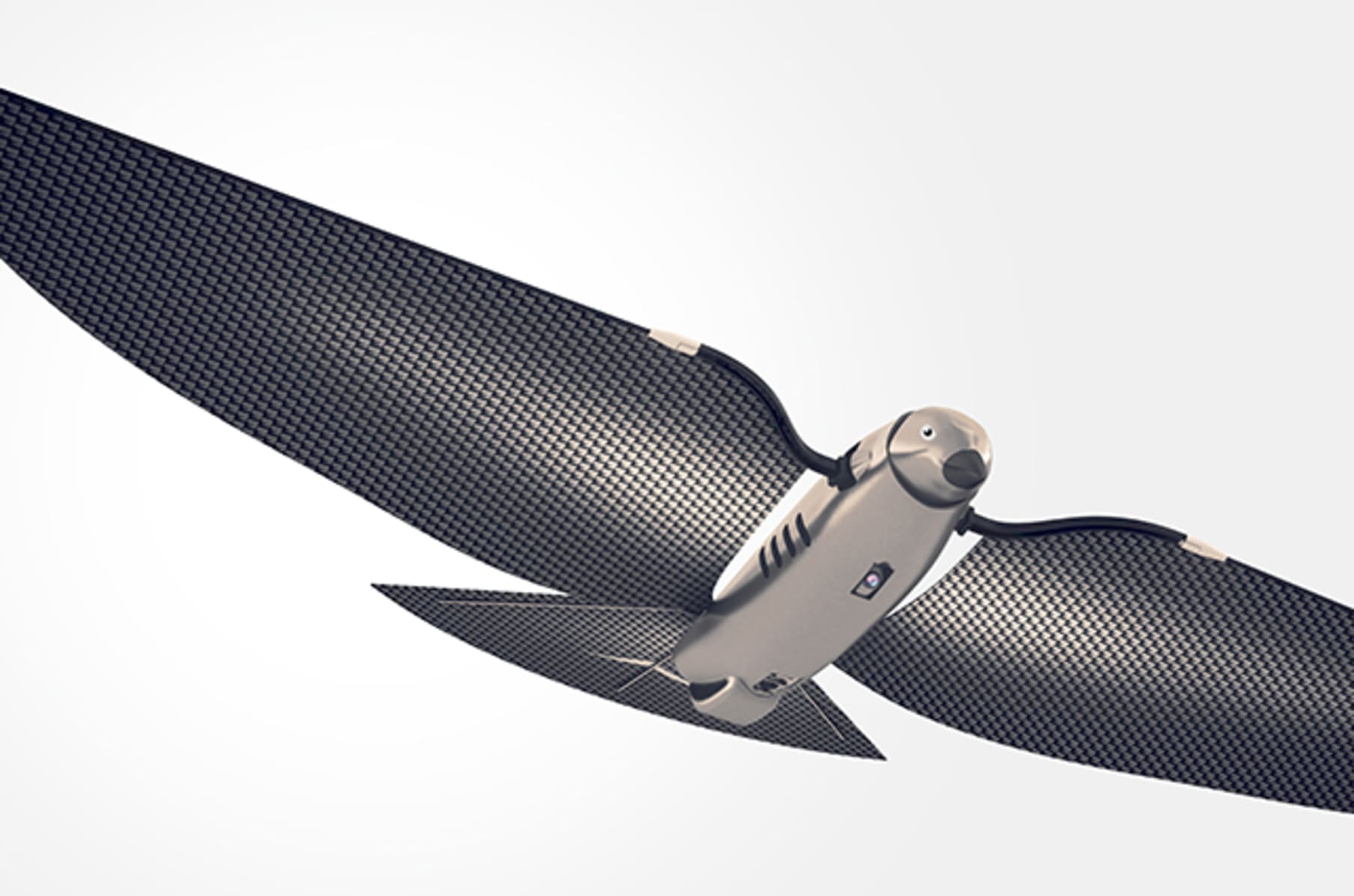 Bionic Bird the Furtive Drone. Indiegogo