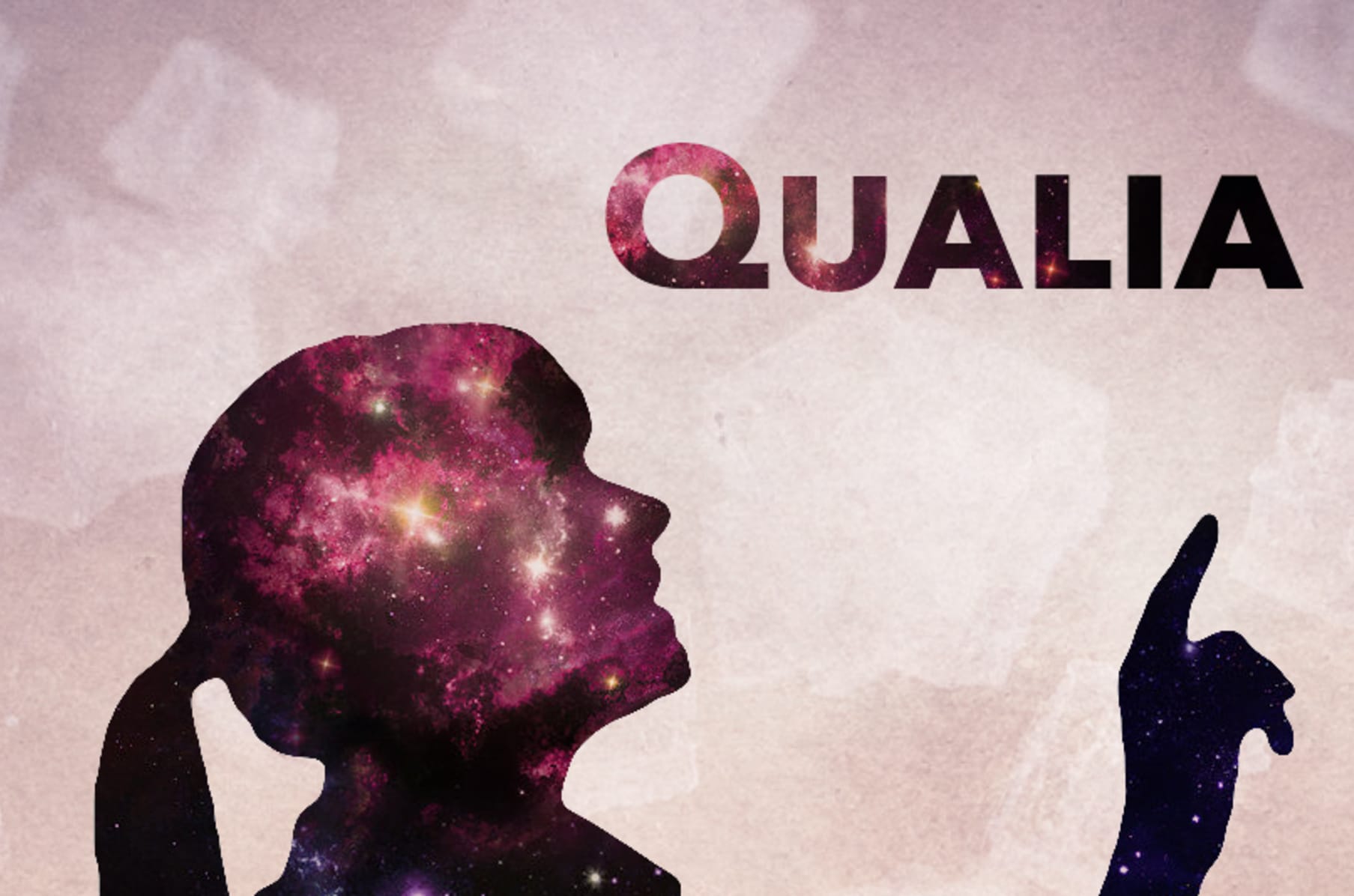 Qualia Indiegogo