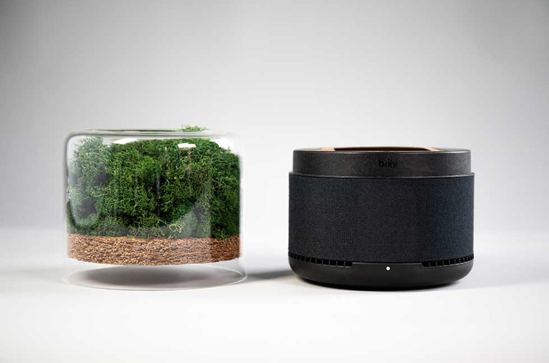 Moss on sale air purifier