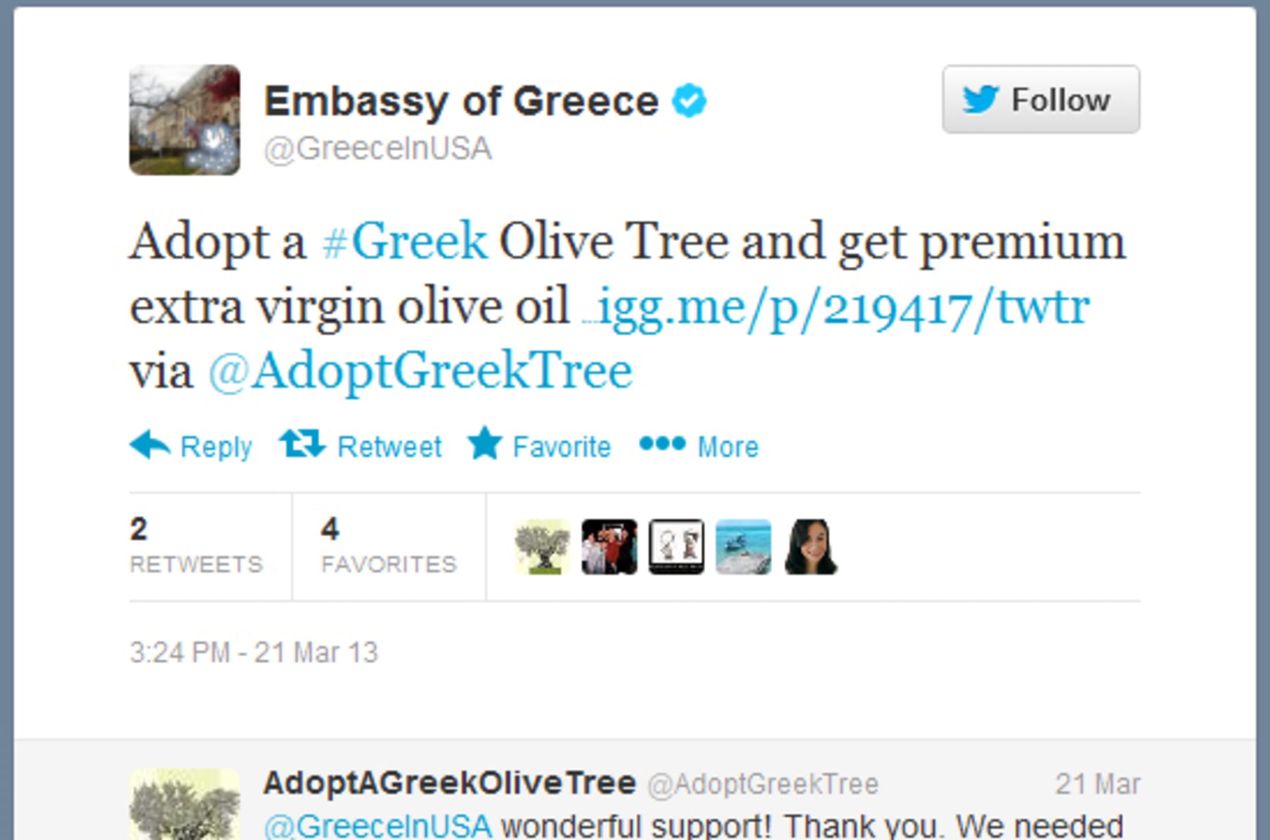 Adopt A Greek Olive Tree Indiegogo Our olive trees variety is 'chalkidiki' variety and it is cultivated mostly in macedonia, greece region. adopt a greek olive tree indiegogo