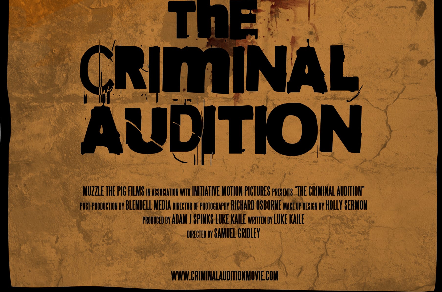 The Criminal Audition Indiegogo