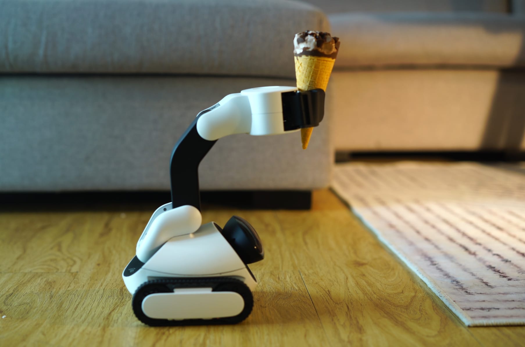 gomer smart robot
