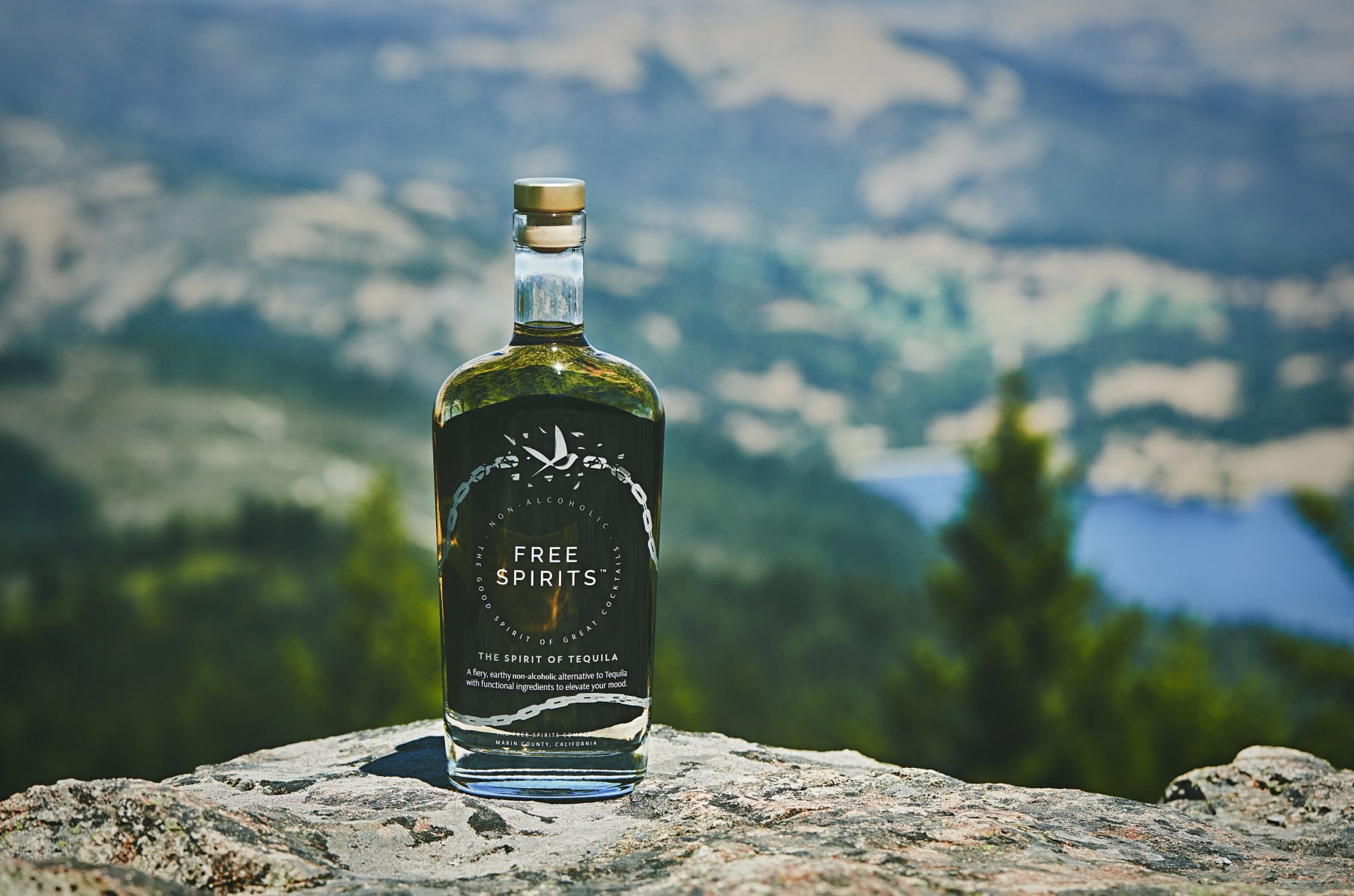 Free Spirits Hand Crafted Non Alcoholic Spirits Indiegogo