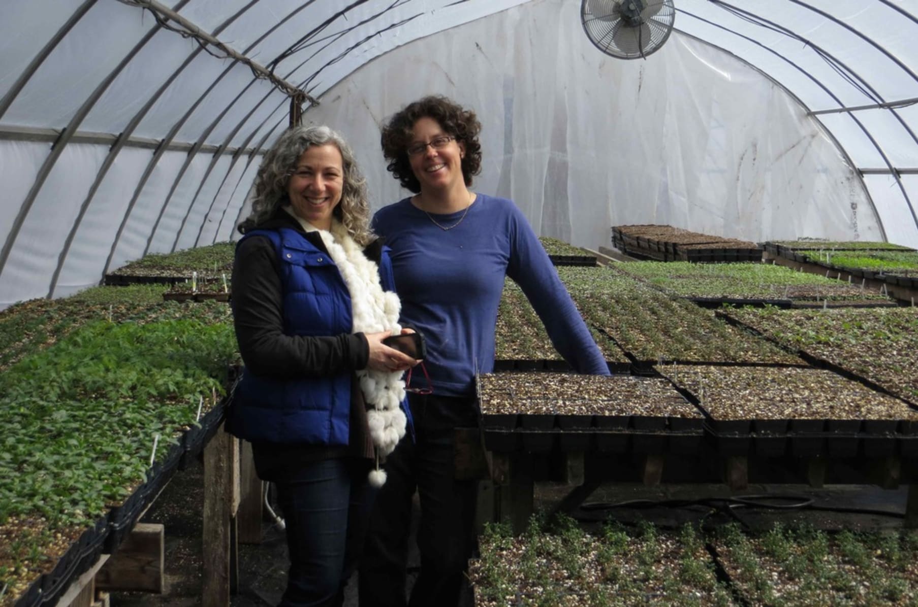 The Backyard Urban Farm Company S Pop Up Garden Shop And