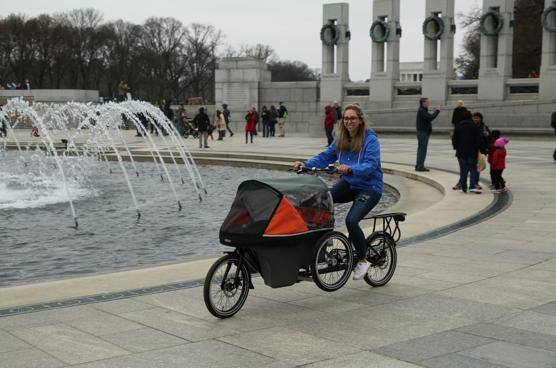 salamander bike stroller